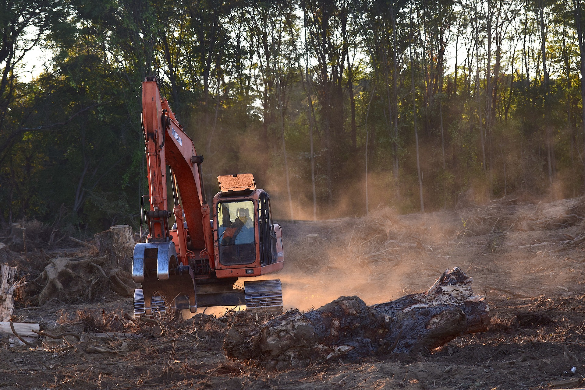 Machine cutting down trees in the middle of the forest