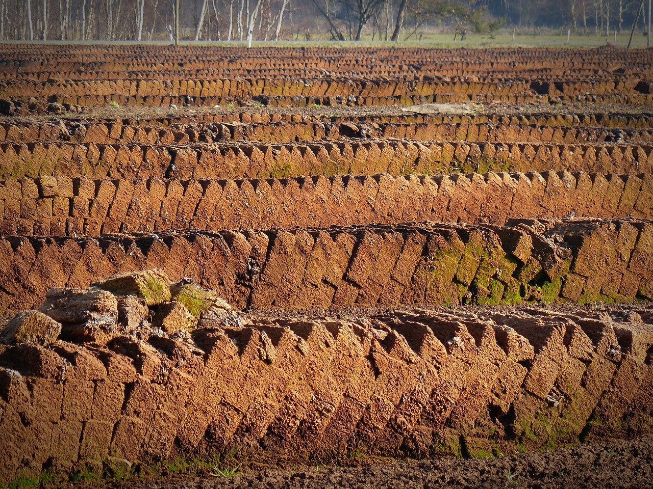 peat moss being harvested