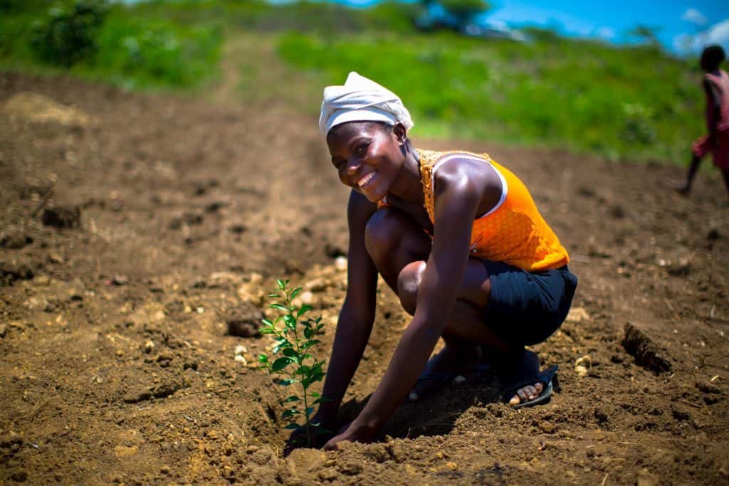 woman planting a tree and smiling.