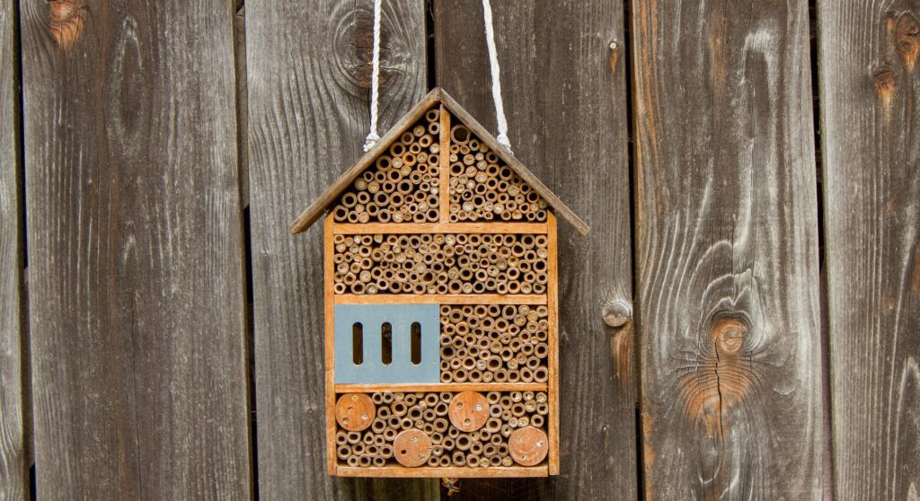 bee hotel